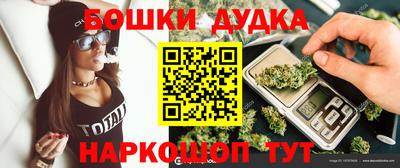 гидропоника Сланцы