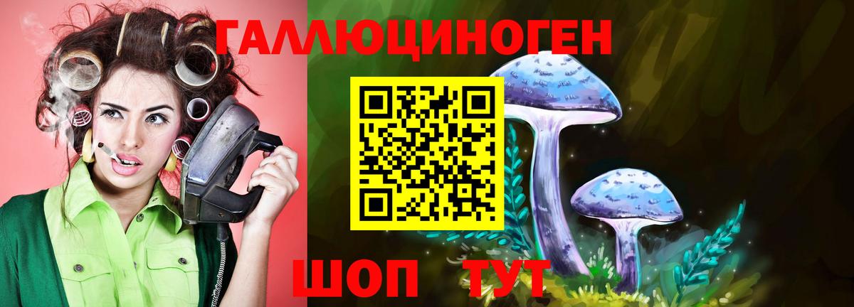 Галлюциногенные грибы MAGIC MUSHROOMS  Галлюциногенные грибы Cubensis  Подольск  Вход с VPN 
